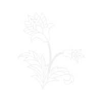 Line Art Flowers