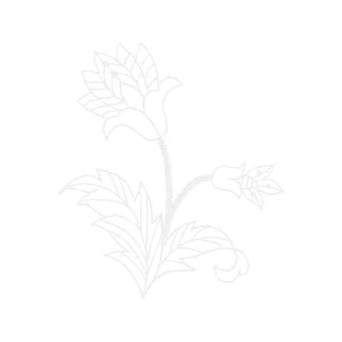 Line Art Flowers Line Art Flowers