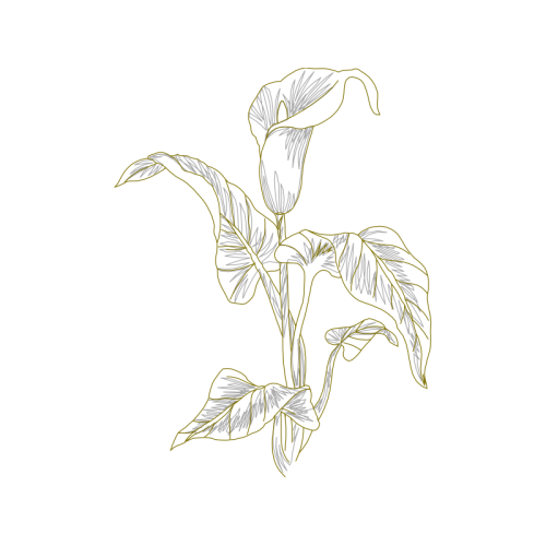 Line Art Flowers Line Art Flowers