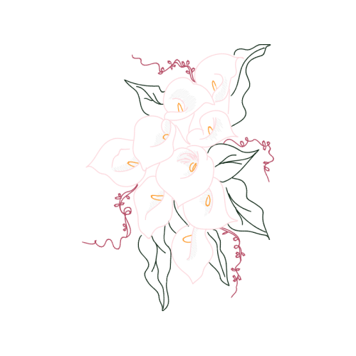 Line Art Flowers Line Art Flowers