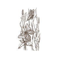 Line Art Flowers Line Art Flowers