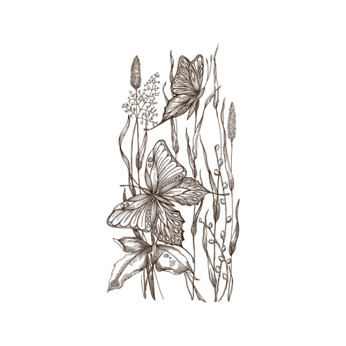 Line Art Flowers Line Art Flowers