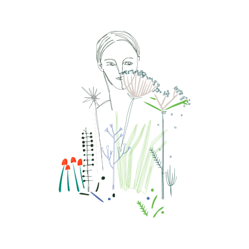 Line Art Flowers Line Art Flowers