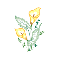 M 02Csf Flowers M 02Csf Flowers