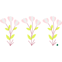 Meadowsweets Flowers