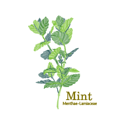 Meter Flowers Meter Flowers