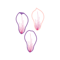 Meter Flowers Meter Flowers