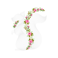 Moth Orchids Flowers