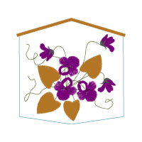 Moth Orchids Flowers