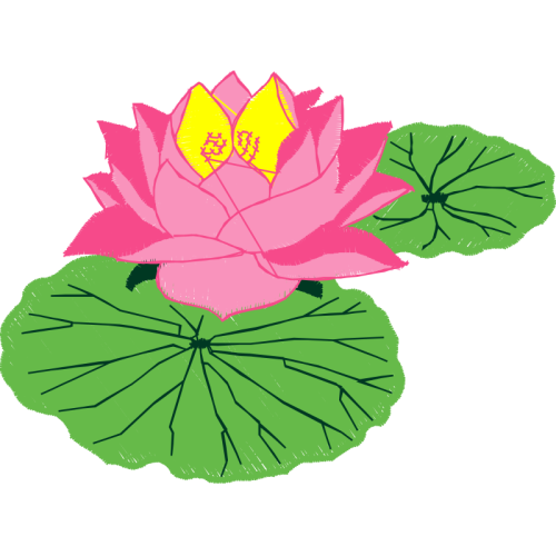 Mtn Group Flowers Mtn Group Flowers