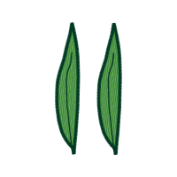 Natural Material Flowers