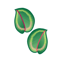 Natural Material Flowers