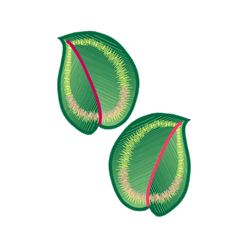 Natural Material Flowers Natural Material Flowers