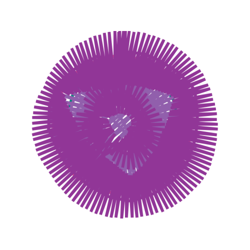 Optical Illusion Flowers Optical Illusion Flowers