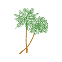 Palms Flowers Palms Flowers