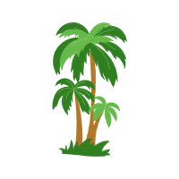 Palms Flowers Palms Flowers