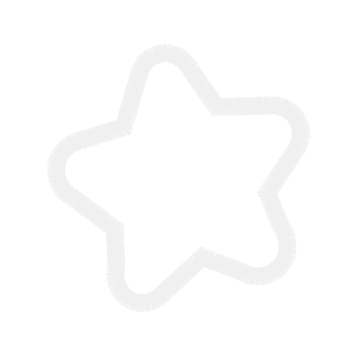 Paperflower Flowers Paperflower Flowers