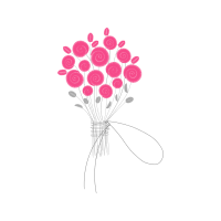 Persian Buttercup Flowers