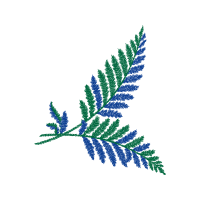 Pteridophytes Flowers Pteridophytes Flowers