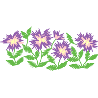 Purple Flowers Purple Flowers