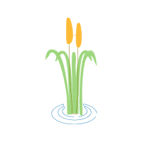 Red Hot Pokers Flowers Red Hot Pokers Flowers