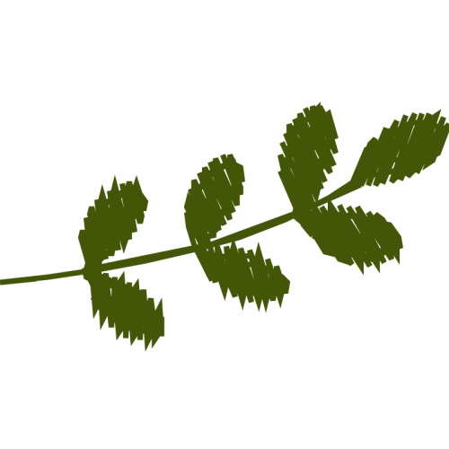 Rosiane Gasparin Doces Finos Flowers Rosiane Gasparin Doces Finos Flowers