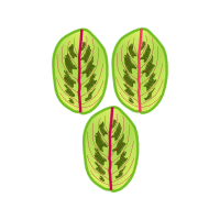 Screw Thread Flowers