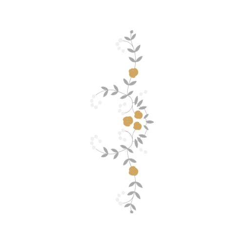 Shameplant Flowers Shameplant Flowers