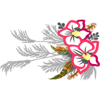 Shoeblackplant Flowers