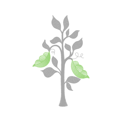 Shrike Flowers Shrike Flowers