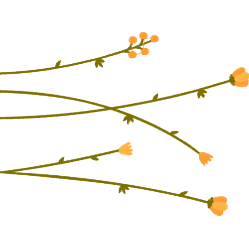 Site A Flowers Site A Flowers