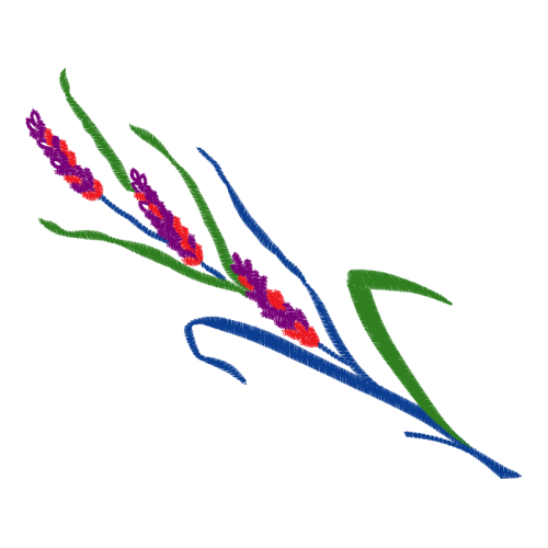 Site A Flowers Site A Flowers