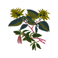 Stock Photography Flowers Stock Photography Flowers