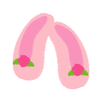 Strawberry Flowers Strawberry Flowers