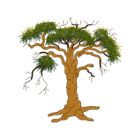 Sue Box Creations Flowers Sue Box Creations Flowers