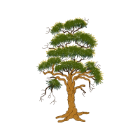 Sue Box Creations Flowers Sue Box Creations Flowers