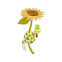 Tortoise Flowers Tortoise Flowers