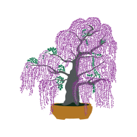 Tree Flowers Tree Flowers