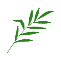 Tree Flowers Tree Flowers