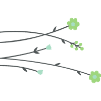 Tree Flowers Tree Flowers