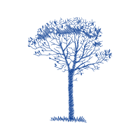 Tree Flowers Tree Flowers