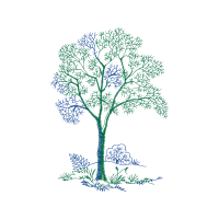 Tree Flowers Tree Flowers