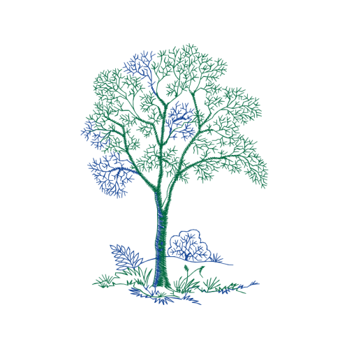 Tree Flowers Tree Flowers