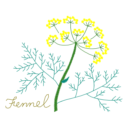 Tree Flowers Tree Flowers