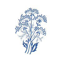 Tree Flowers Tree Flowers