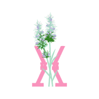 Tree Flowers Tree Flowers