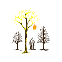 Tree Flowers Tree Flowers