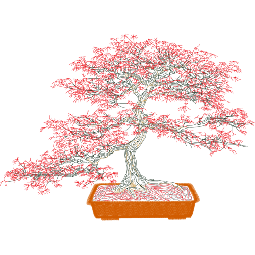 Tree Flowers Tree Flowers