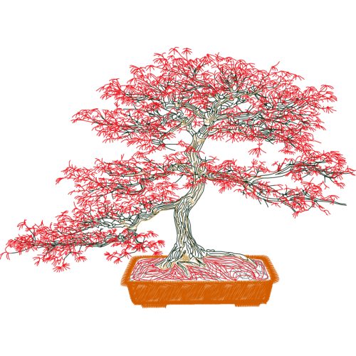 Tree Flowers Tree Flowers