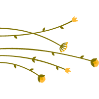 Twig M Flowers Twig M Flowers